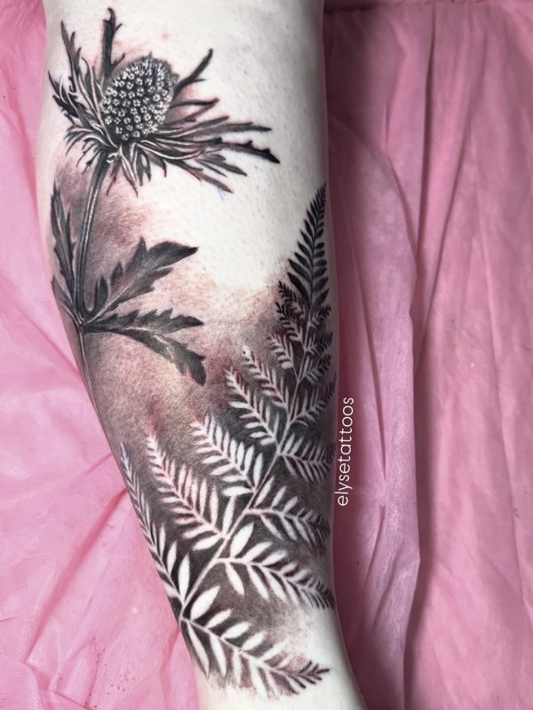 Fern and Flower