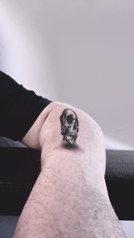 Realistic Skull