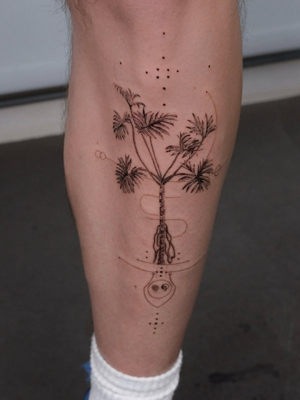 Delicate Plant