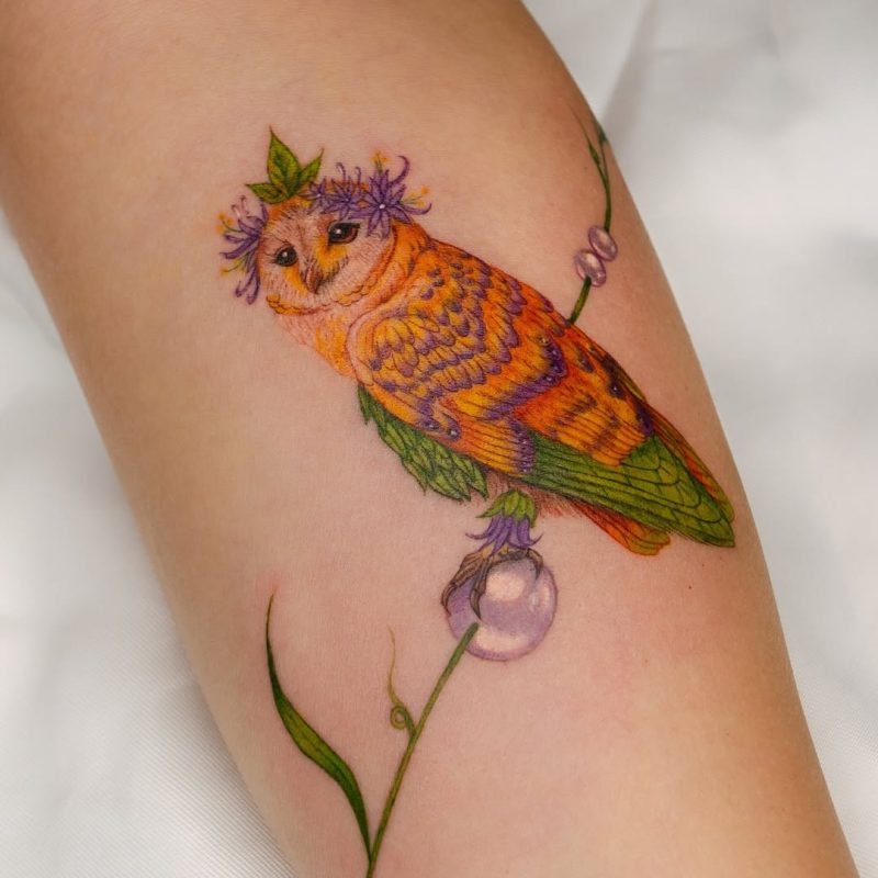 Colorful Owl