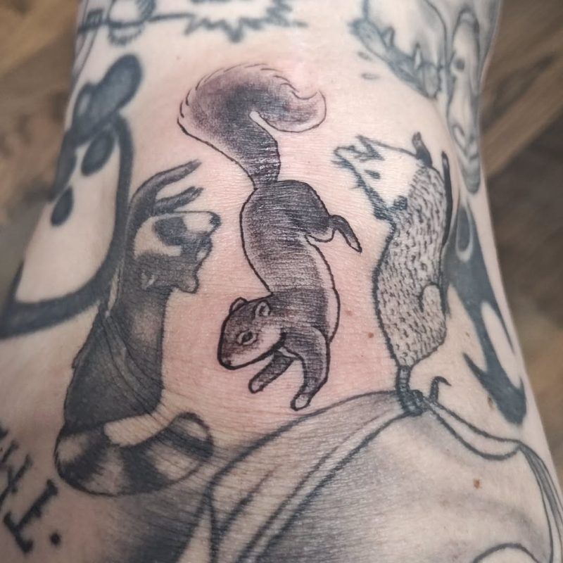 Small Squirrel