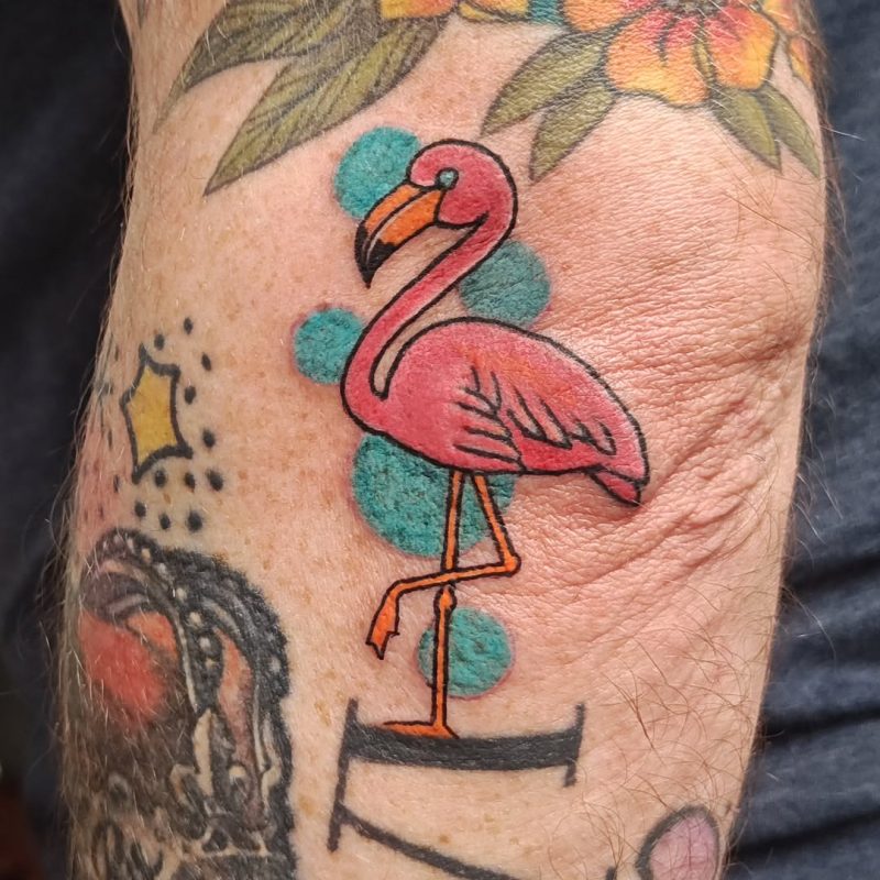 Pink Flamingo