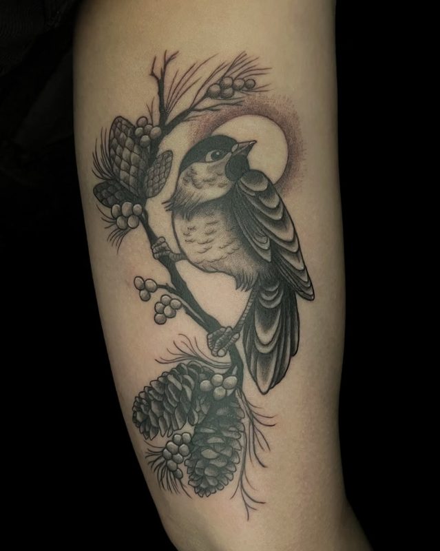 Bird on Branch