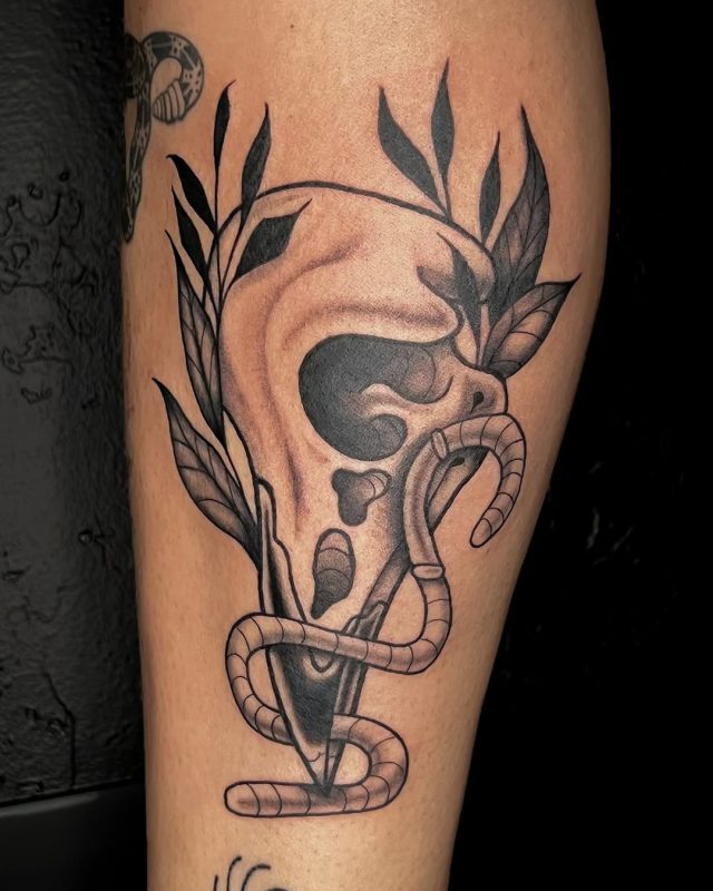 Skull and Worm