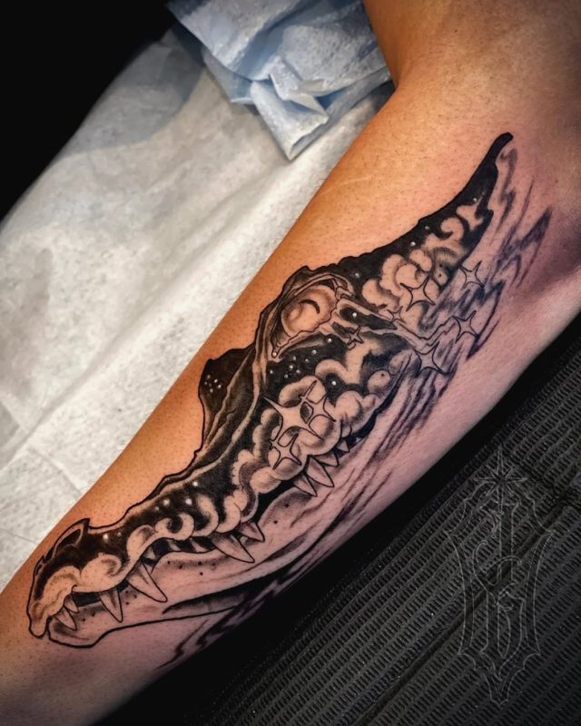 Cosmic Crocodile