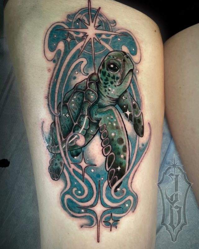 Cosmic Turtle