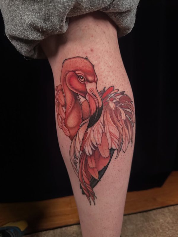 Flamingo Realism