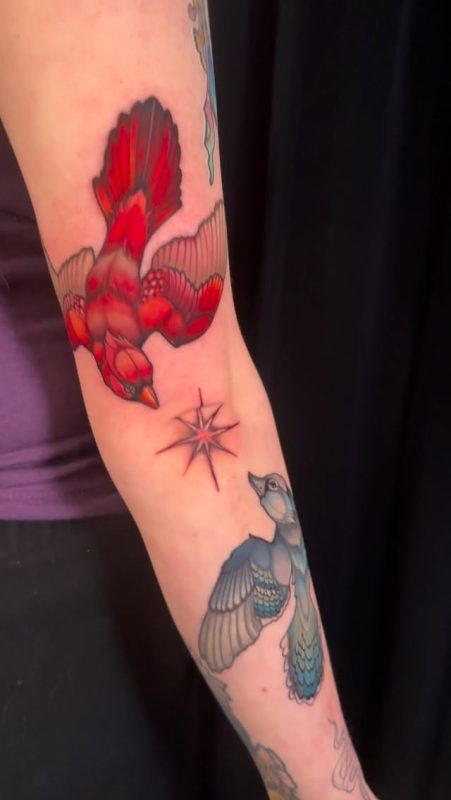 Flying Birds