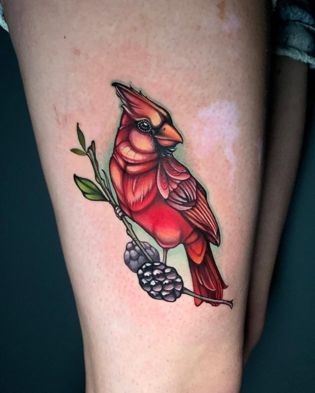 Cardinal Bird