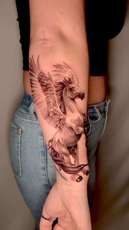 Flying Pegasus