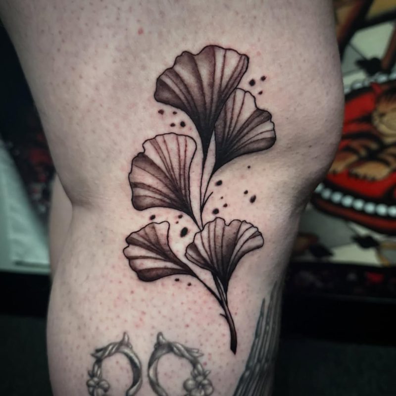 Ginkgo Leaves
