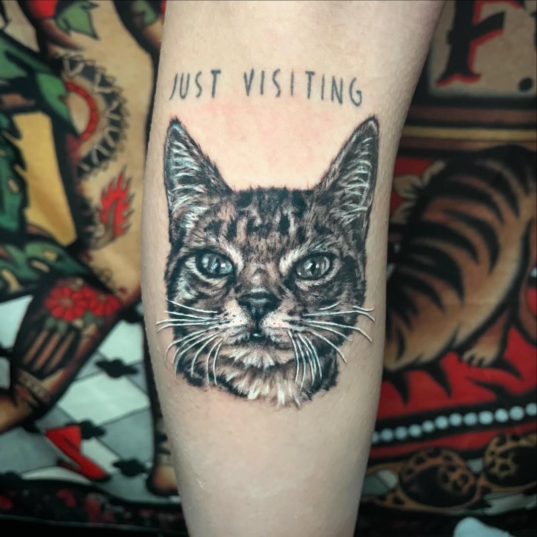 Realistic Cat Portrait