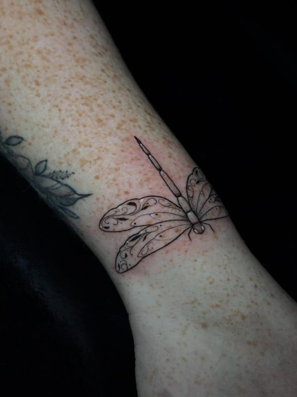Delicate Dragonfly