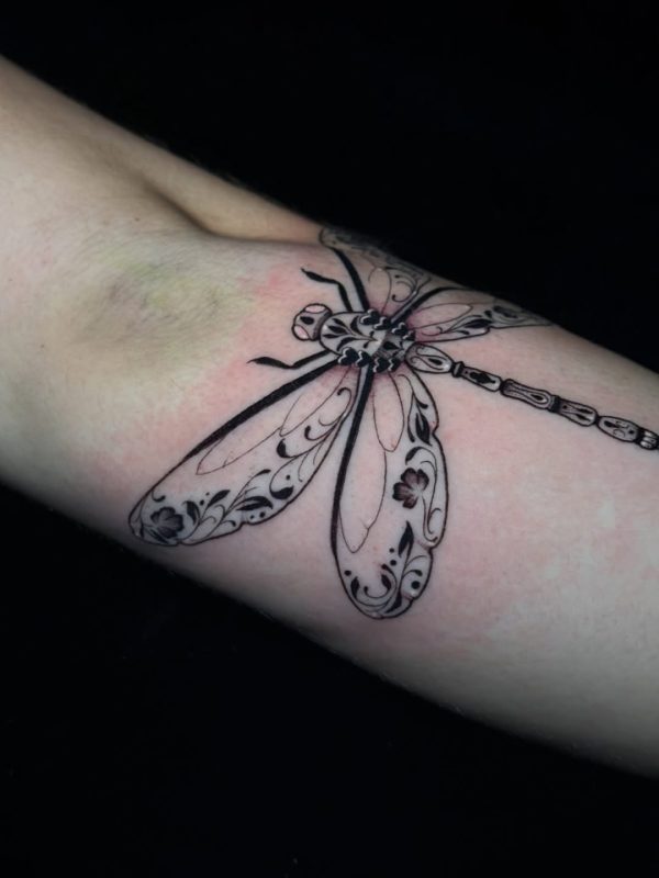 Ornate Dragonfly