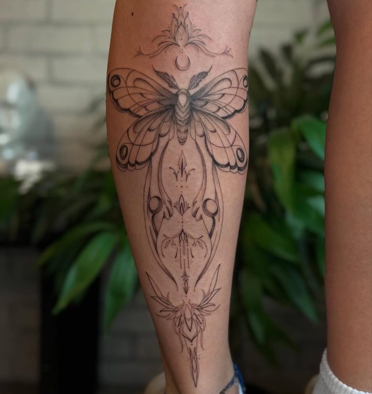 Fine Line Moth