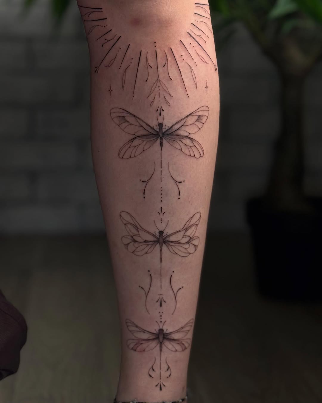 Delicate Dragonflies