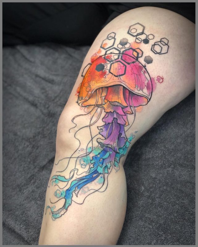 Colorful Jellyfish