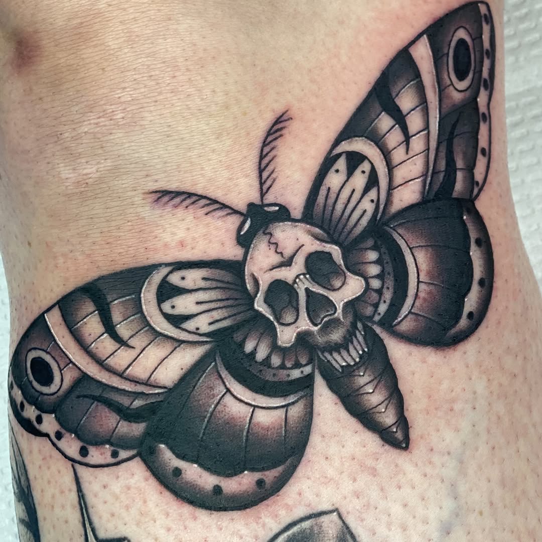Skull Moth