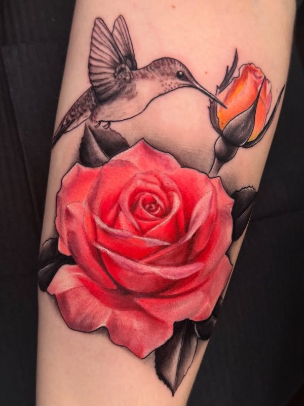 Hummingbird Rose