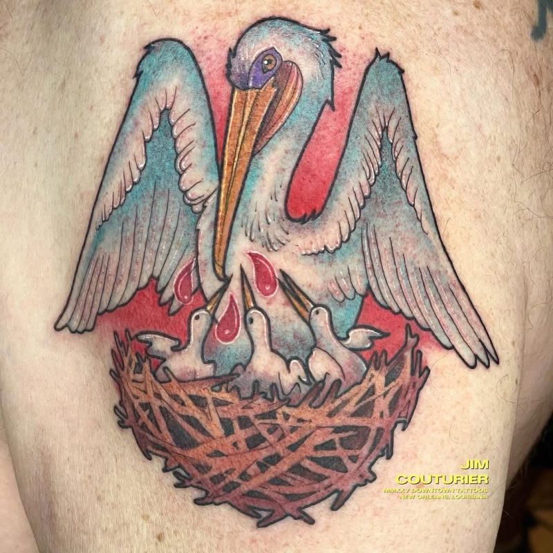 Pelican Nest