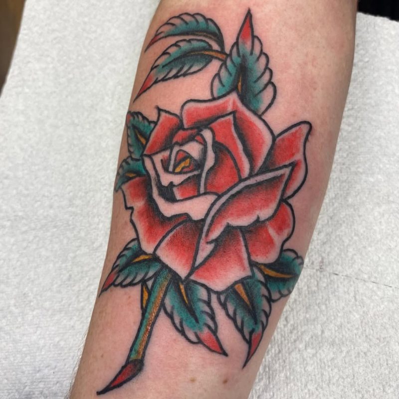 Traditional Rose