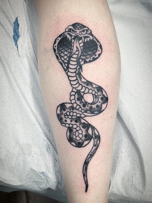 Black Cobra