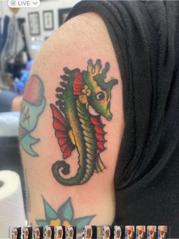 Colorful Seahorse