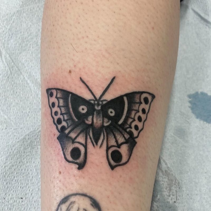 Black Gray Butterfly