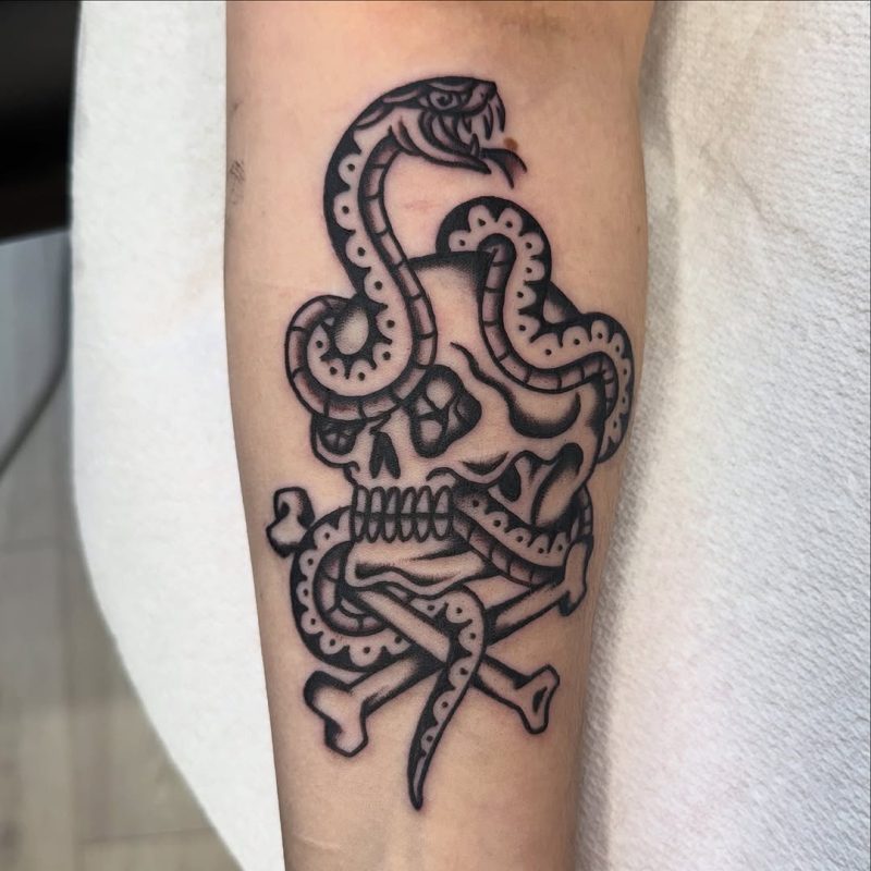 Snake Skull