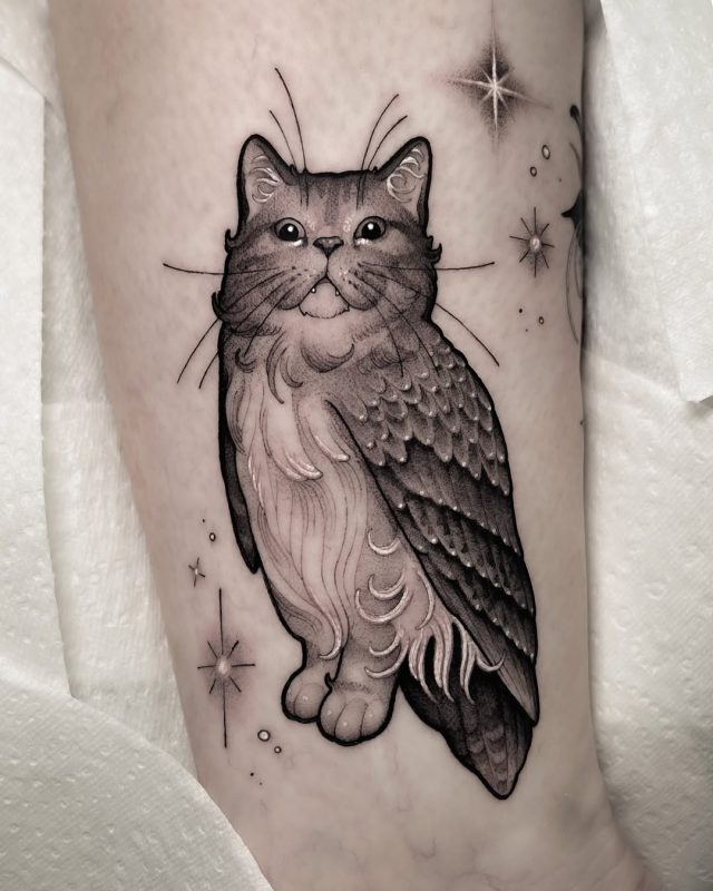 Cat Owl Hybrid