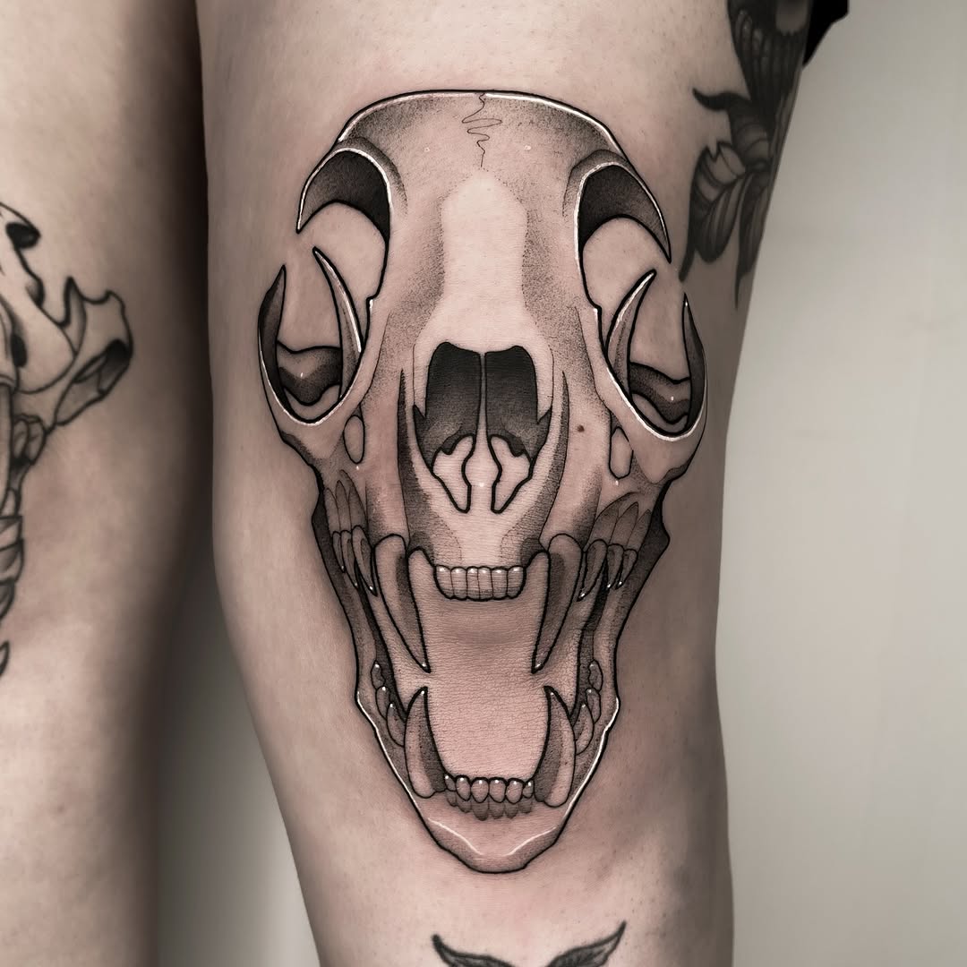 Animal Skull