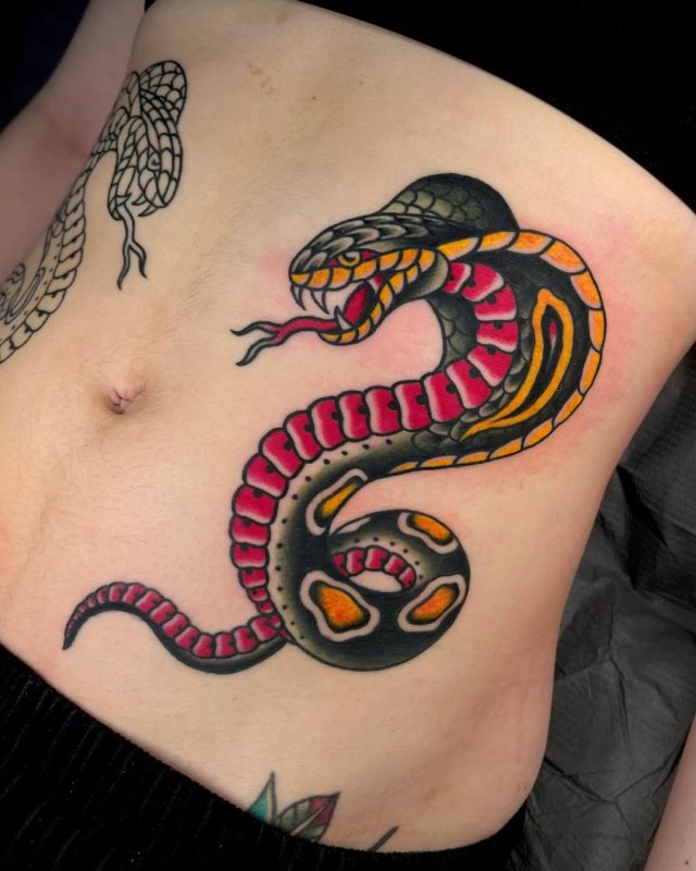 Colorful Snake