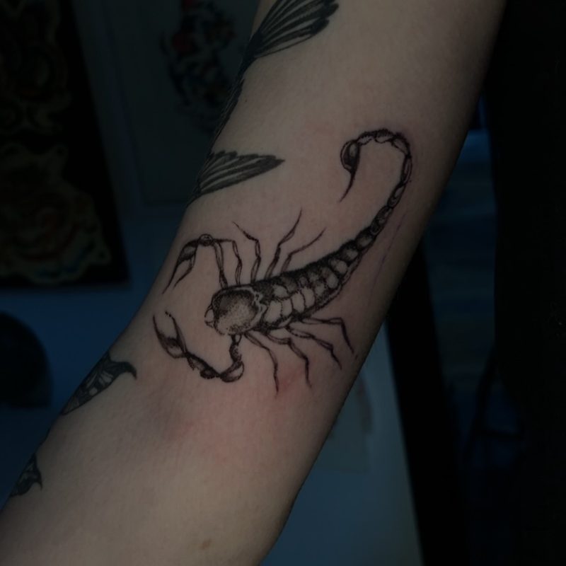 Scorpion Dotwork