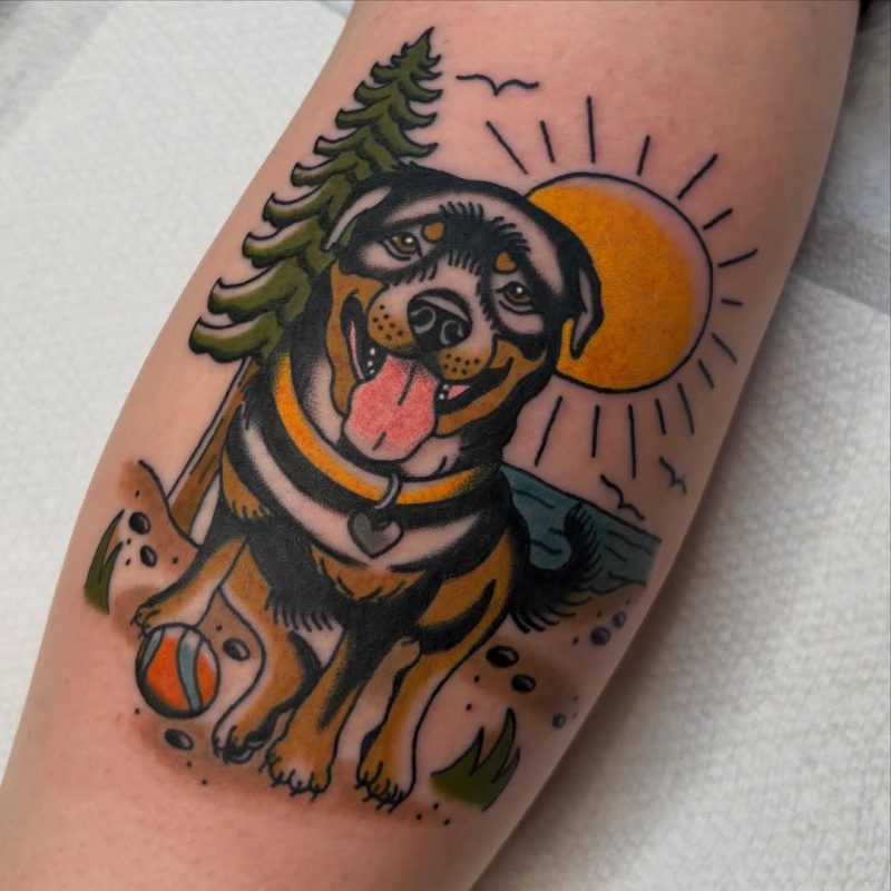 Playful Dog Scene