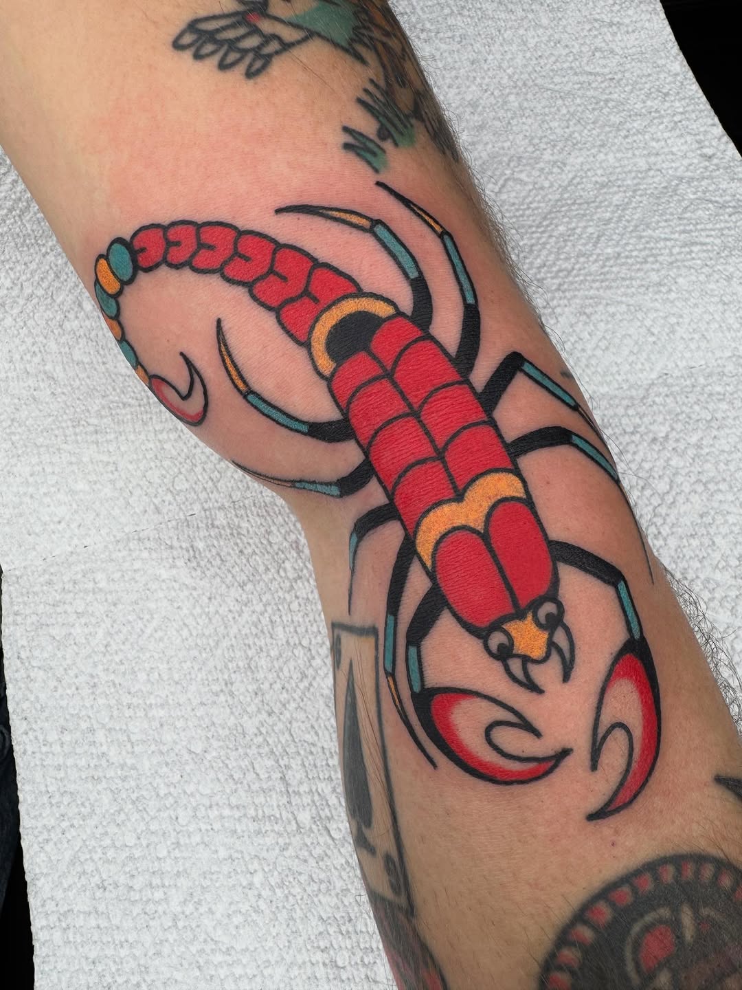 Traditional Scorpion