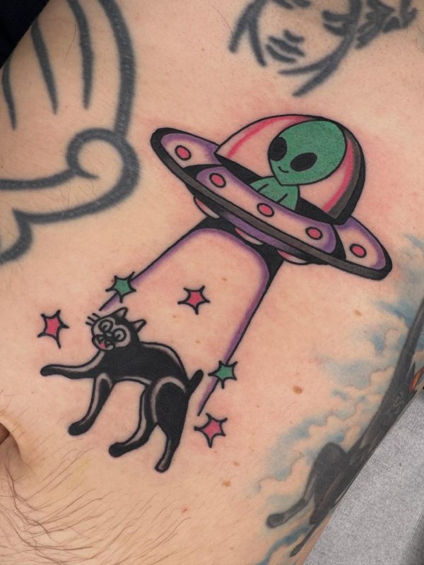 Alien Cat Abduction
