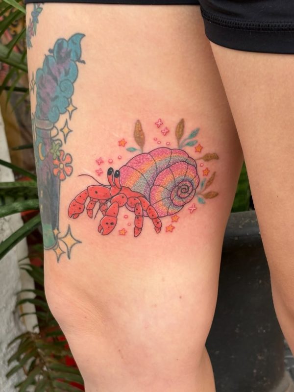 Colorful Hermit Crab