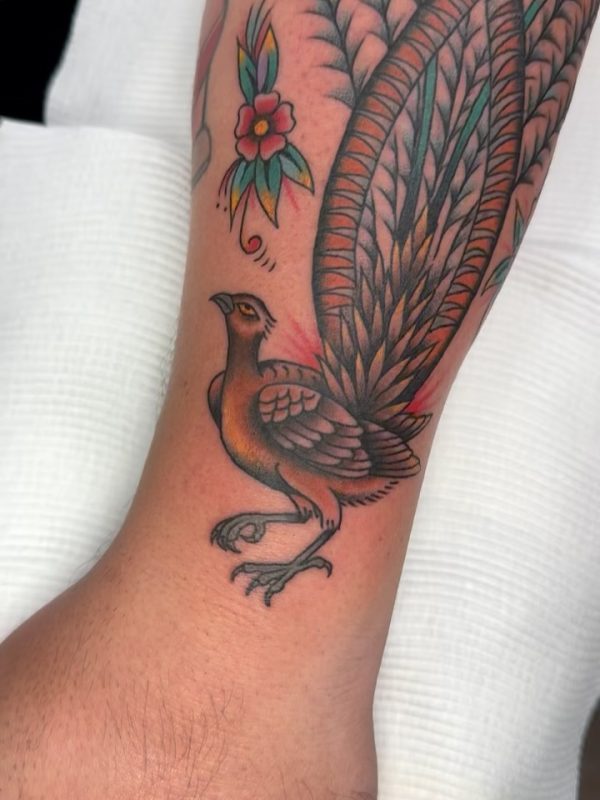 Traditional Bird