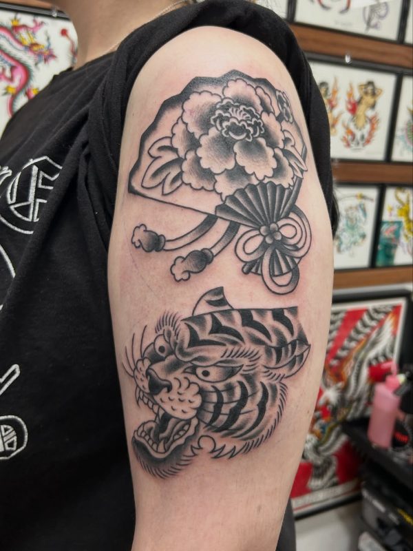 Japanese Tiger Fan