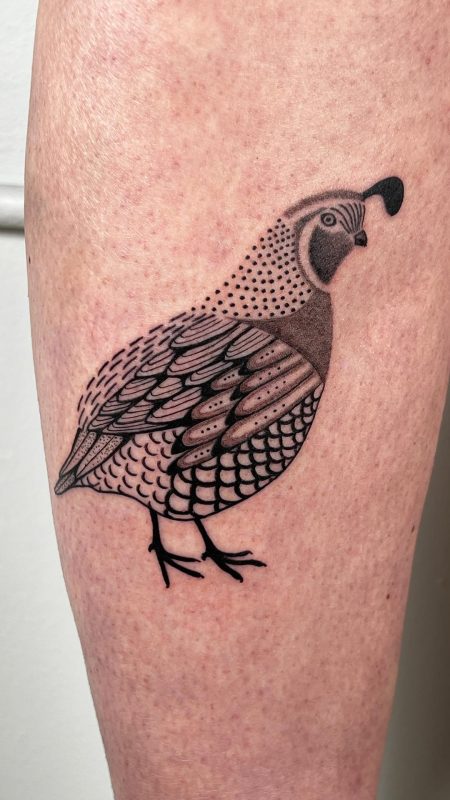 Dotwork Quail