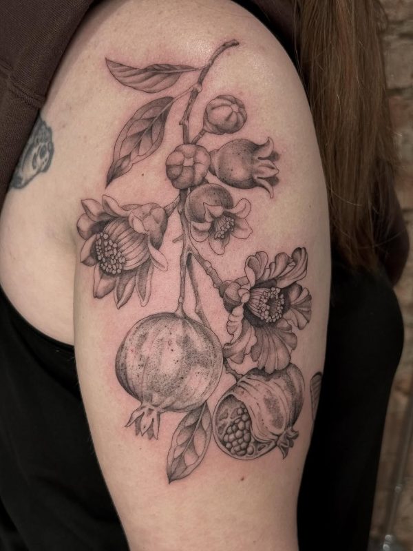 Pomegranate Branch
