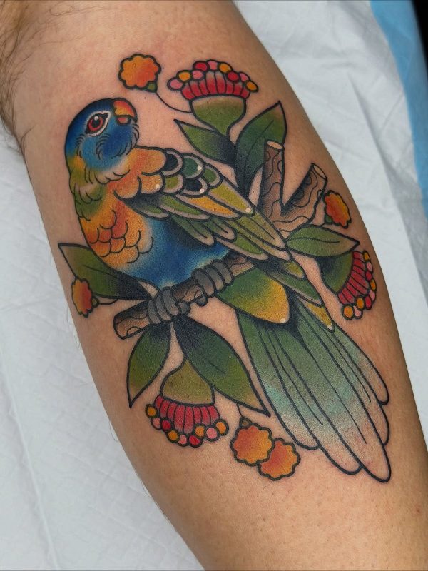 Colorful Bird
