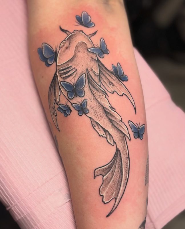 Koi with Butterflies