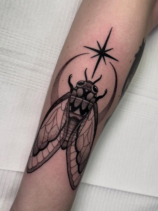 Dotwork Cicada