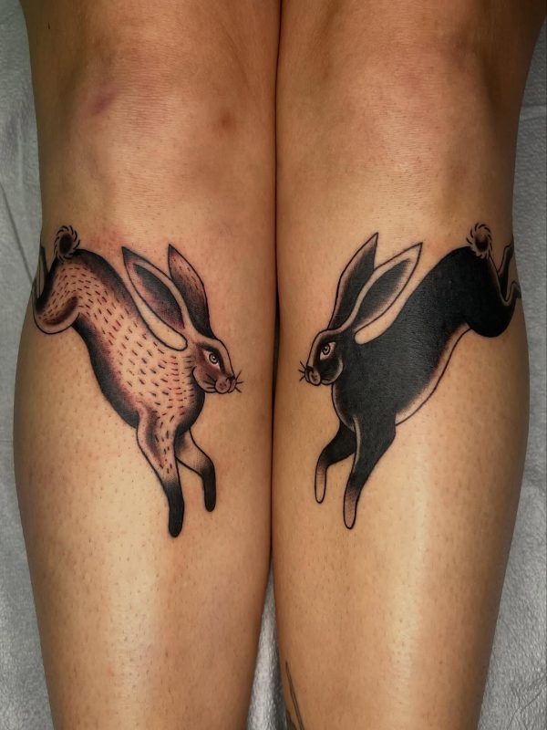 Black and Brown Hares