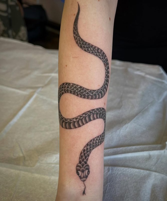 Black Gray Snake