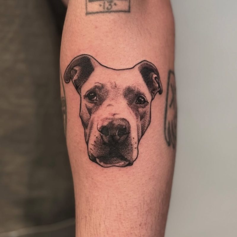 Dog Portrait
