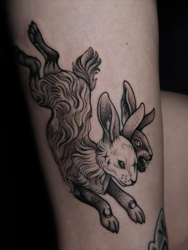 Two-Headed Rabbit