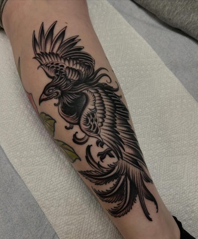 Black Gray Phoenix