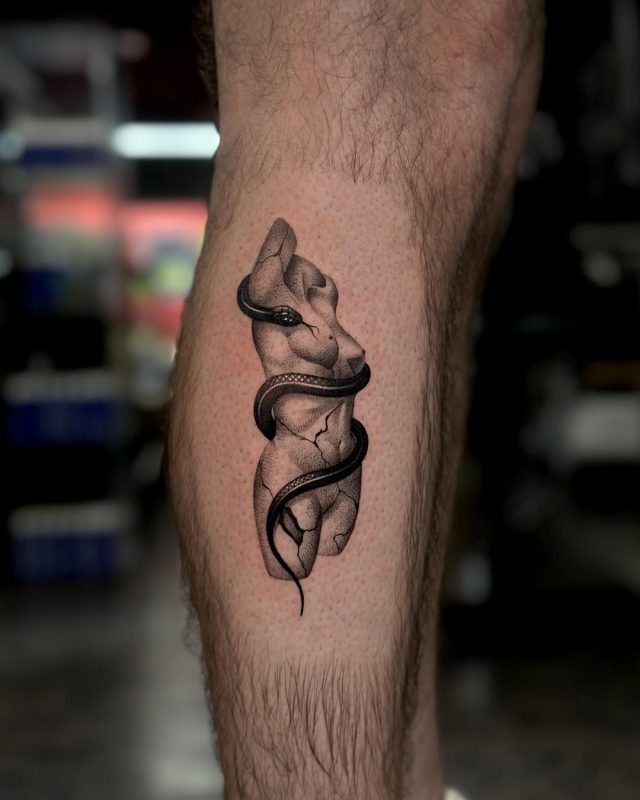 Cracked Torso Snake